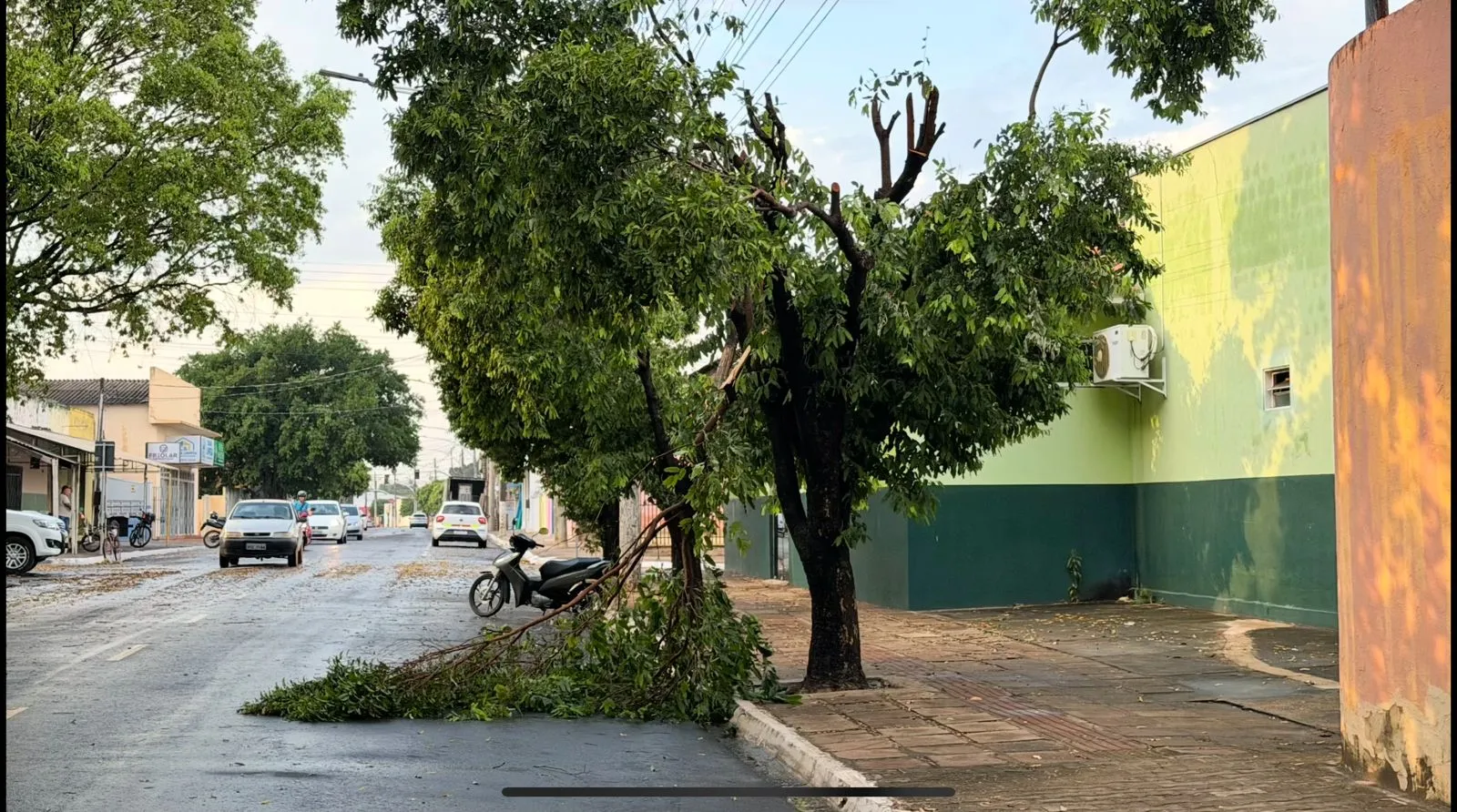 Divulgação